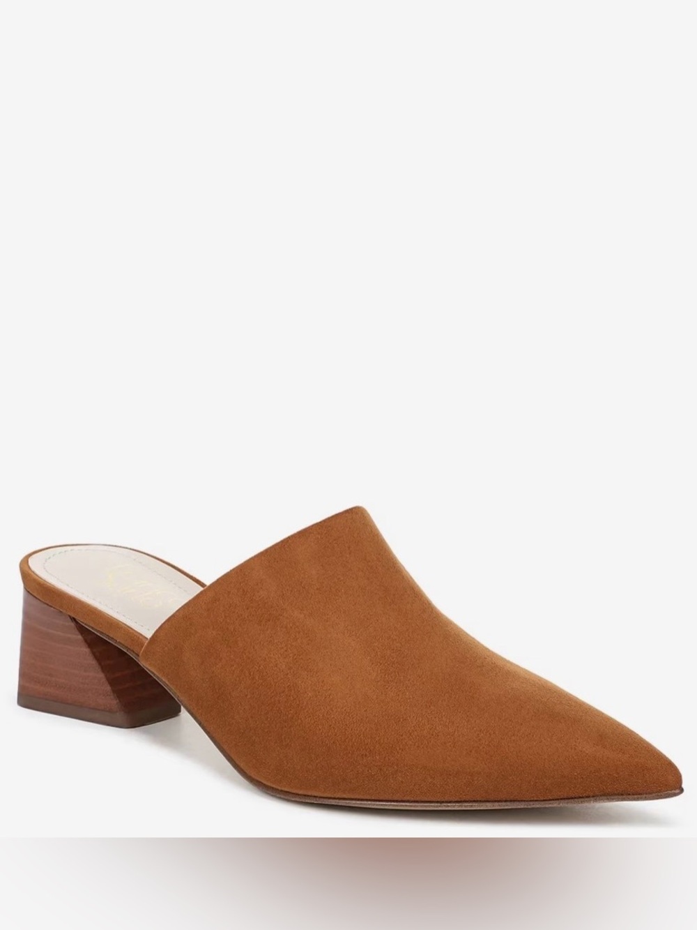 Franco Sarto Remilia Pointed-Toe Mule 9.5